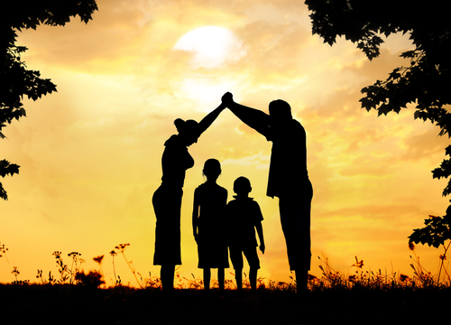 Rehabilitation counselors