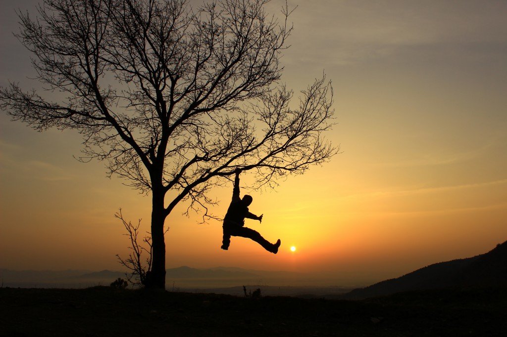 Sports Psychologist Employment Outlook